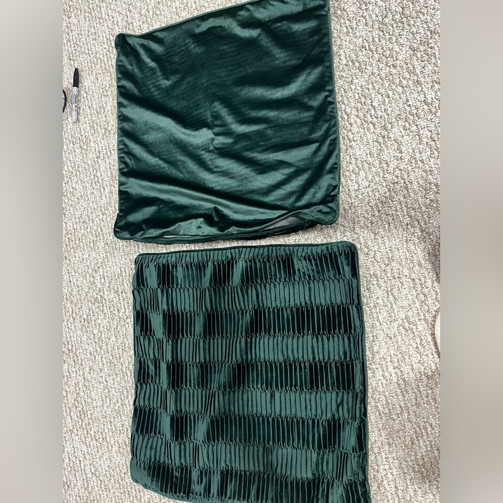 Two 19”x19” velvet pillows
